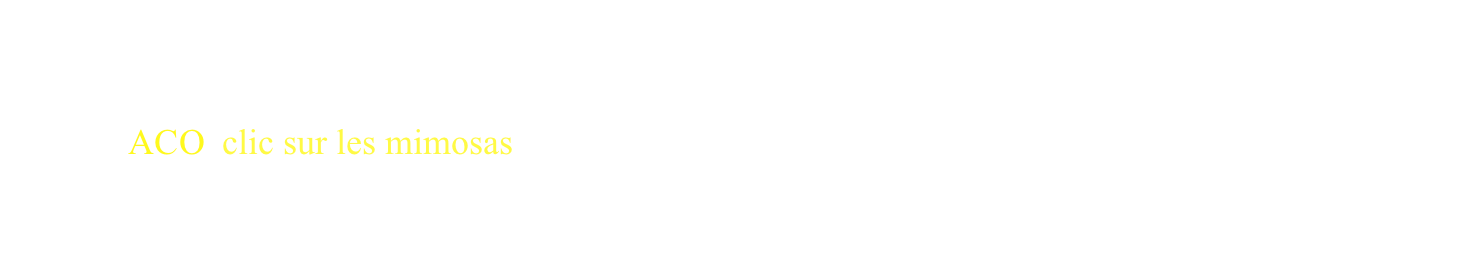 
         pour lire dans son intégralité cette déclaration de
         l’ACO, clic sur les mimosas